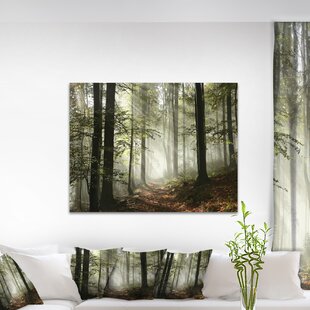 Fog In Forest | Wayfair